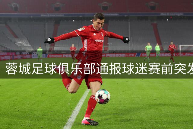 蓉城足球俱乐部通报球迷赛前突发晕厥去世